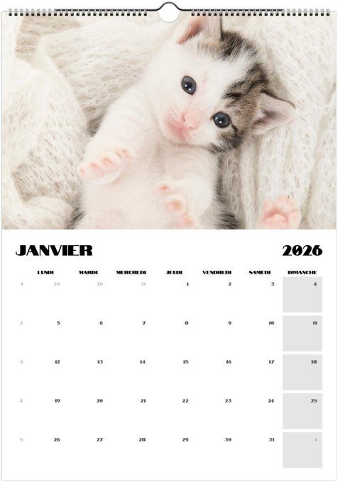 Calendrier 2026 - Bébés animaux 