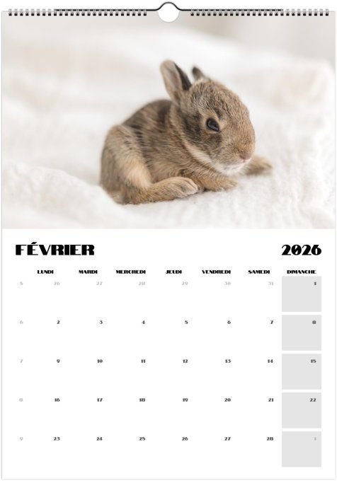 Calendrier 2026 - Bébés animaux 