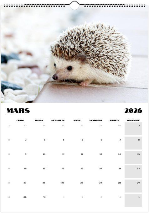Calendrier 2026 - Bébés animaux 