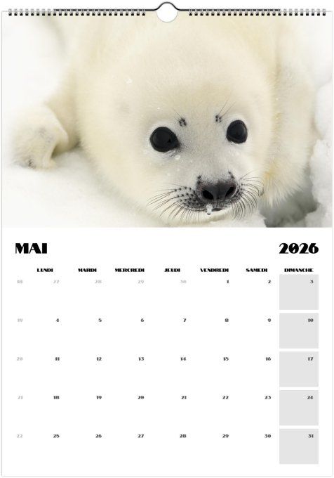 Calendrier 2026 - Bébés animaux 